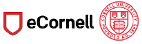 ecornell.gif-with-logo2